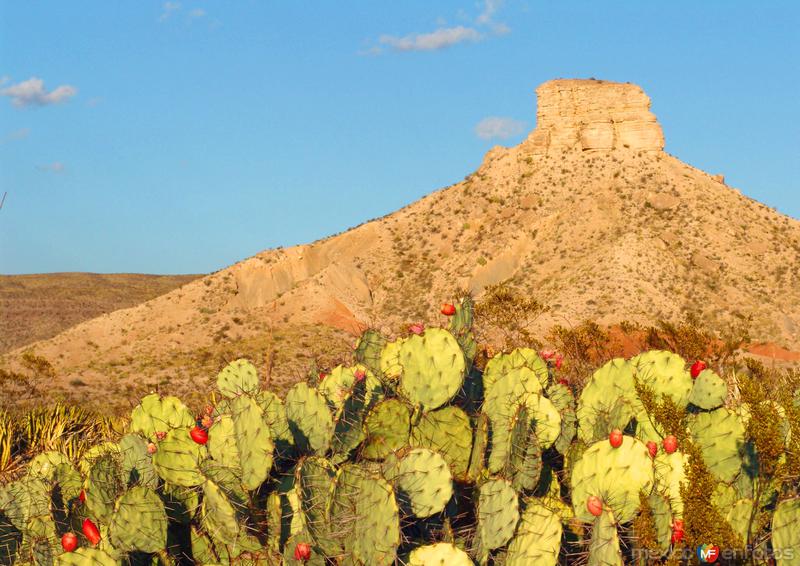 Fotos de Cañón De Santa Elena, Chihuahua: La Aguja