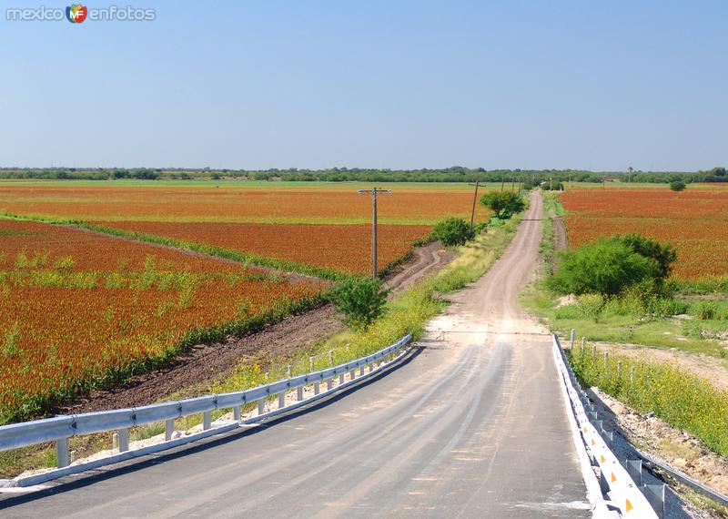 Fotos de Río Bravo, Tamaulipas: Camino rural y campos de cultivo