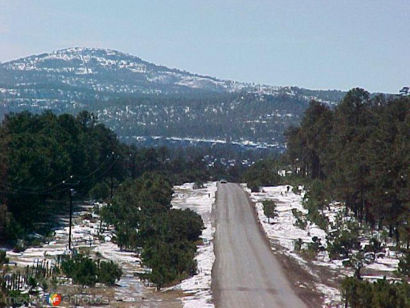 Fotos de Bocoyna, Chihuahua: Invierno nevado en la carretera a Creel