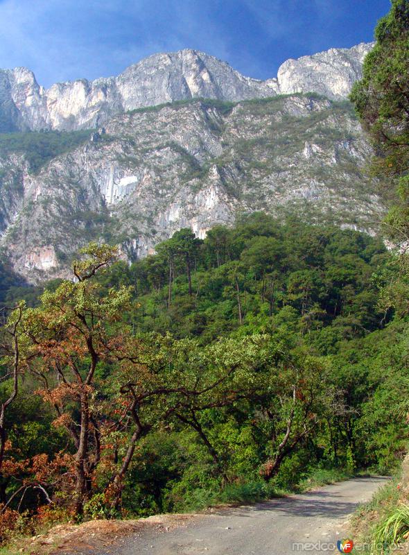 Fotos de San Pedro Garza García, Nuevo León: Sierra Madre Oriental