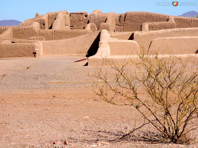 Fotos de Casas Grandes, Chihuahua: Zona Arqueológica de Paquimé