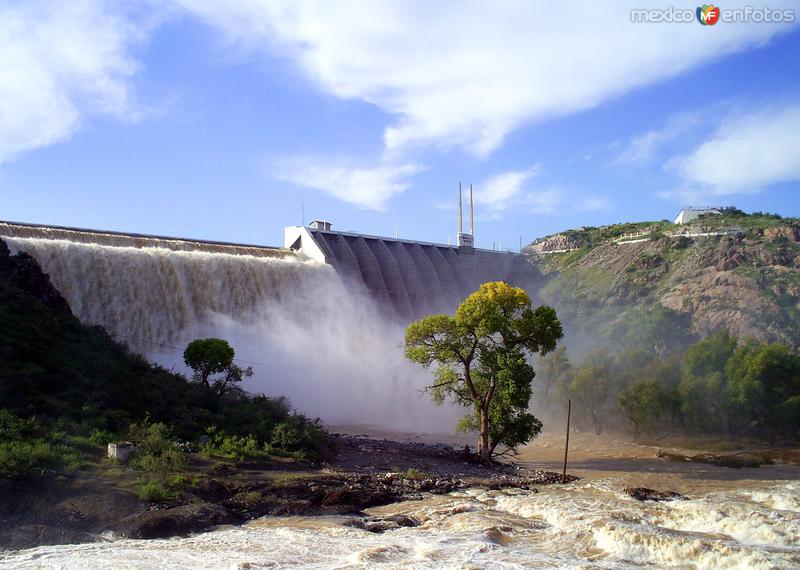 Fotos de Rosales, Chihuahua: Presa Las Vírgenes