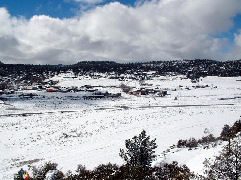 Fotos de Sisoguichi, Chihuahua: Paisaje nevado en Sisoguichi