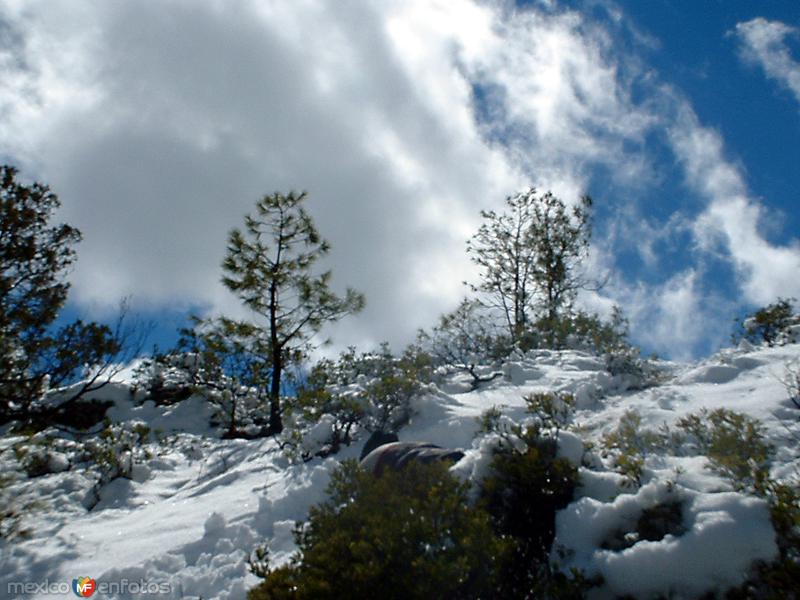 Fotos de Sisoguichi, Chihuahua: Paisaje nevado en Sisoguichi