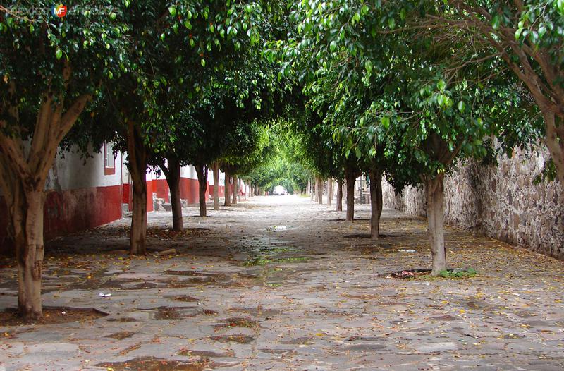 Fotos de Soria, Guanajuato: Calles de Soria