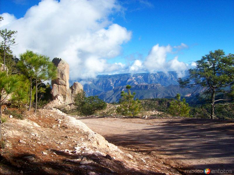 Fotos de Topia, Durango: Sierra Madre Occidental