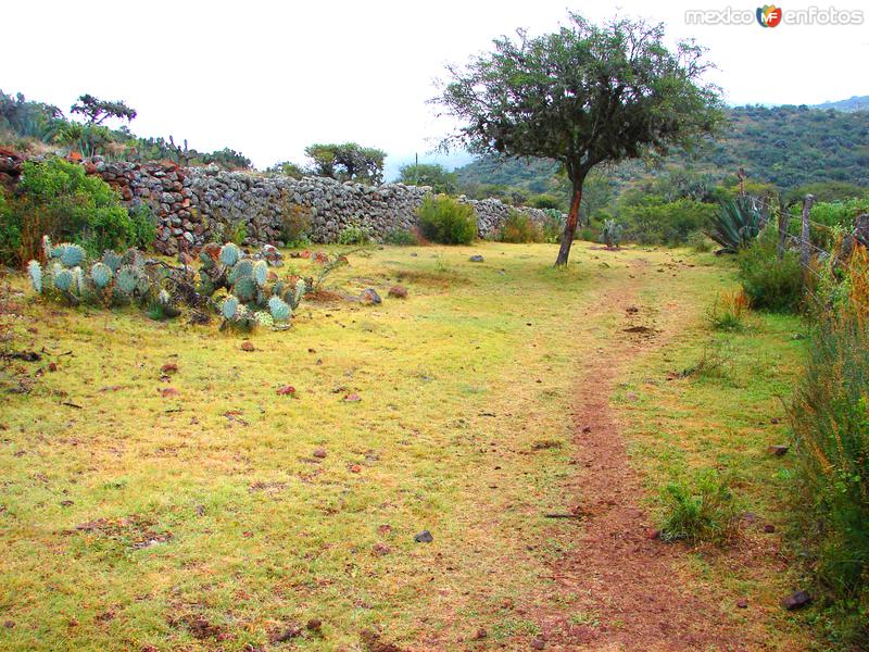 Fotos de Villa De Zaragoza, San Luis Potosí: Vereda