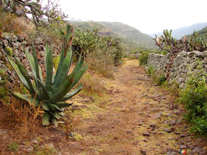 Fotos de Villa De Zaragoza, San Luis Potosí: Vereda