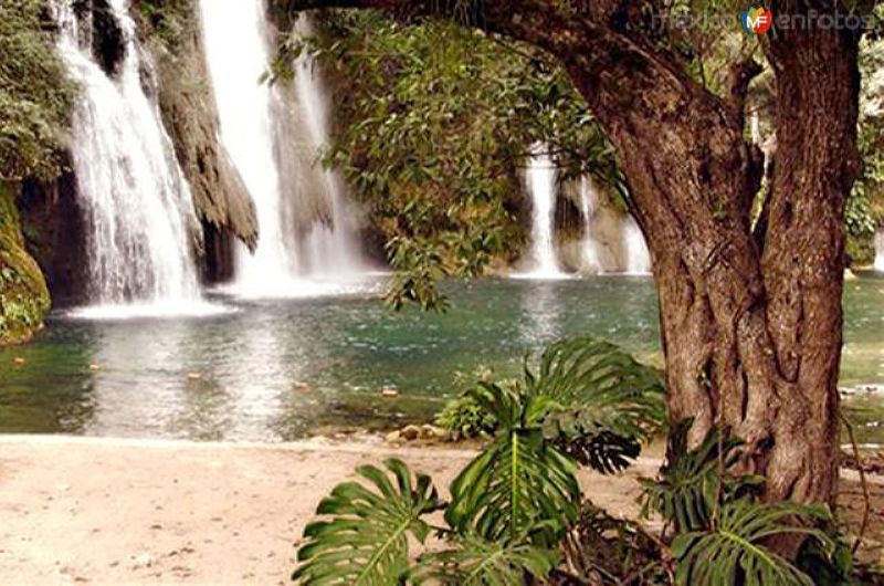 Fotos de Tamasopo, San Luis Potosí: Cascadas de Tamasopo