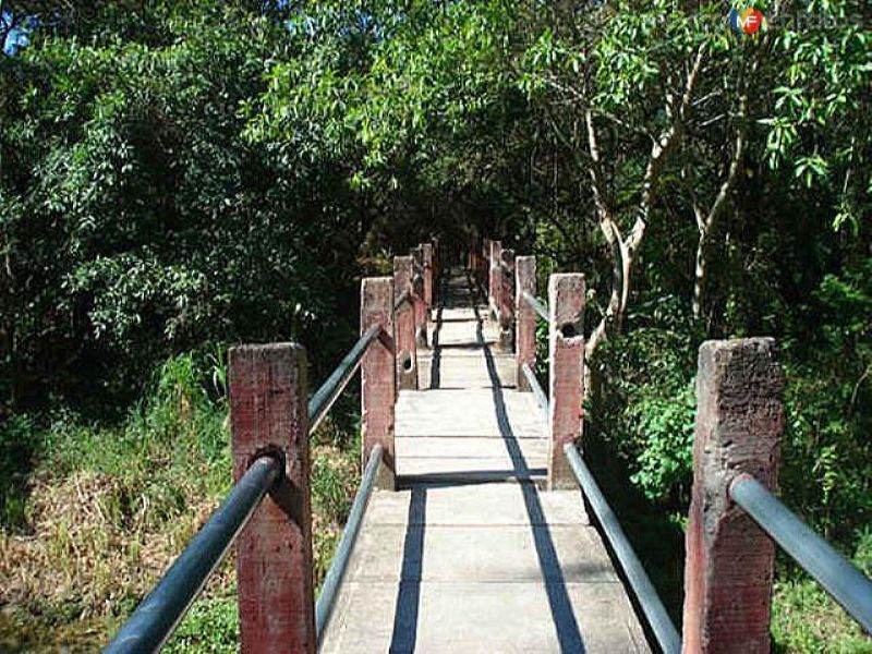 Fotos de Nuevo Morelos, Tamaulipas: Puente