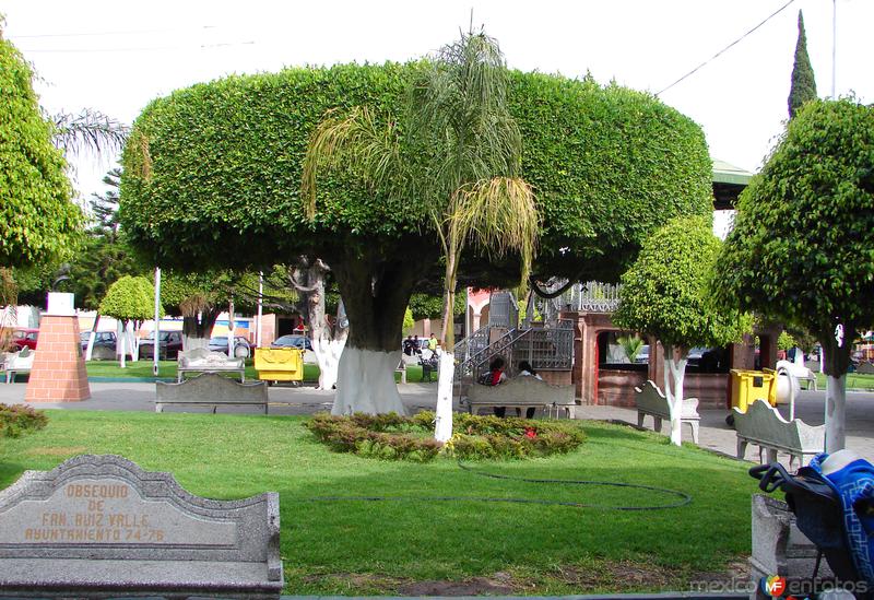 Fotos de Huanímaro, Guanajuato: Plaza Principal