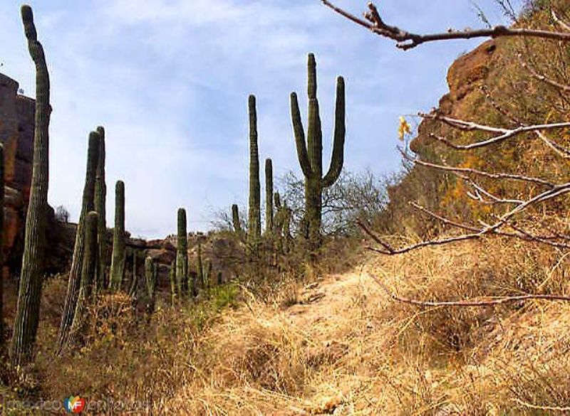 Fotos de Cucurpe, Sonora: Paisajes de Cucurpe