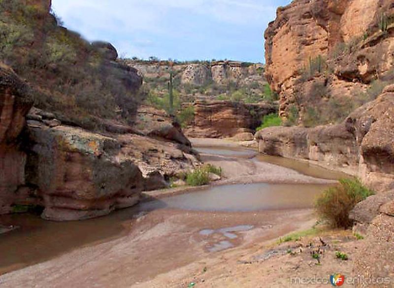 Fotos de Cucurpe, Sonora: Río Sonora