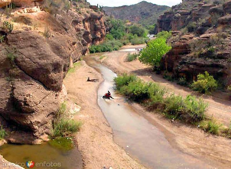 Fotos de Cucurpe, Sonora: Río Sonora