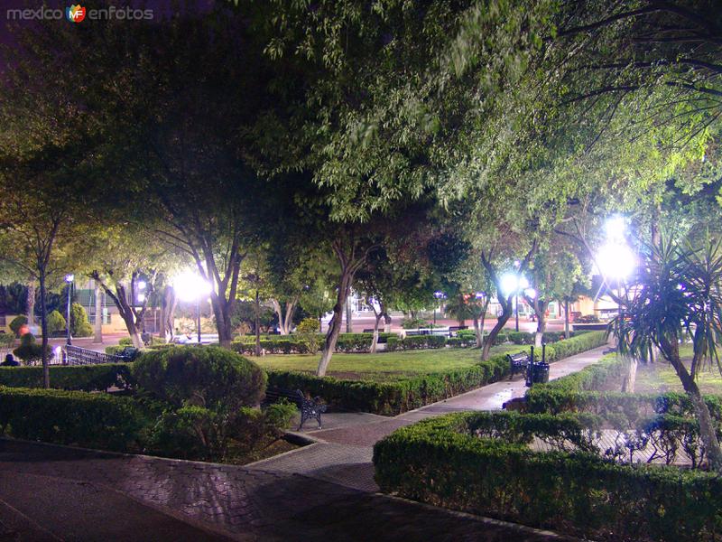 Fotos de Ciudad Guadalupe, Nuevo León: Plaza Principal