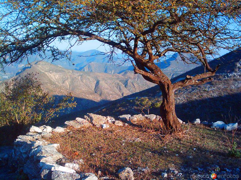 Fotos de Metztitlán, Hidalgo: Serranía