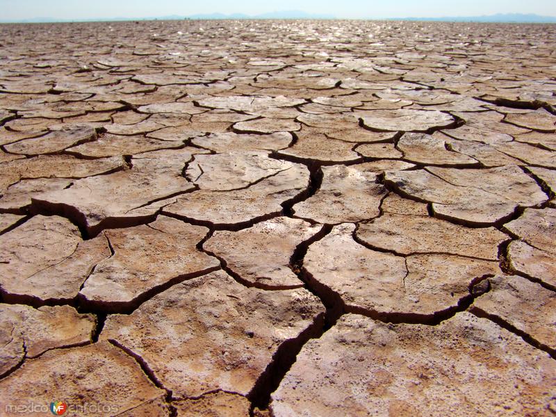 Fotos de Ahumada, Chihuahua: Laguna intermitente El Barreal