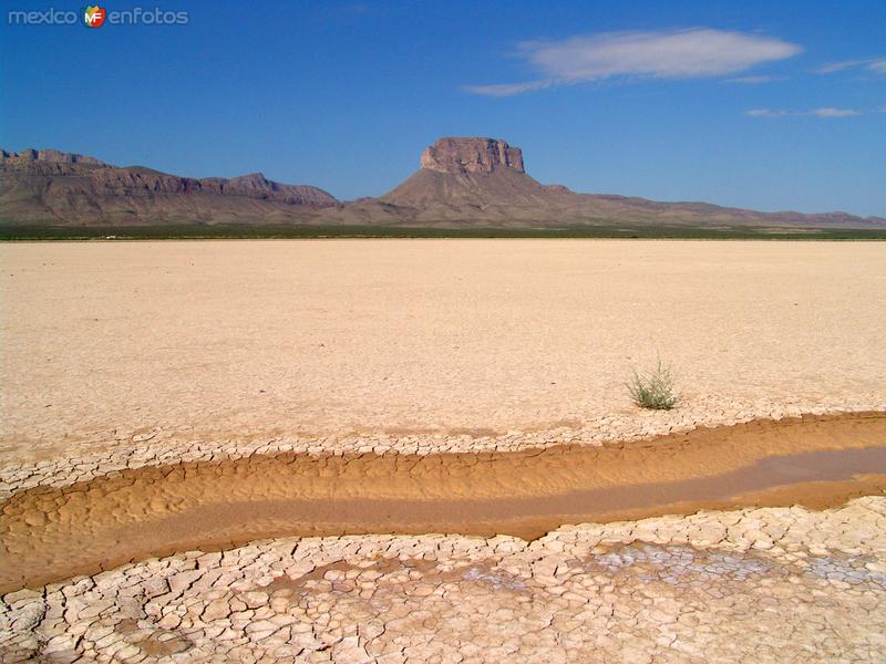 Fotos de Ahumada, Chihuahua: Laguna intermitente El Barreal