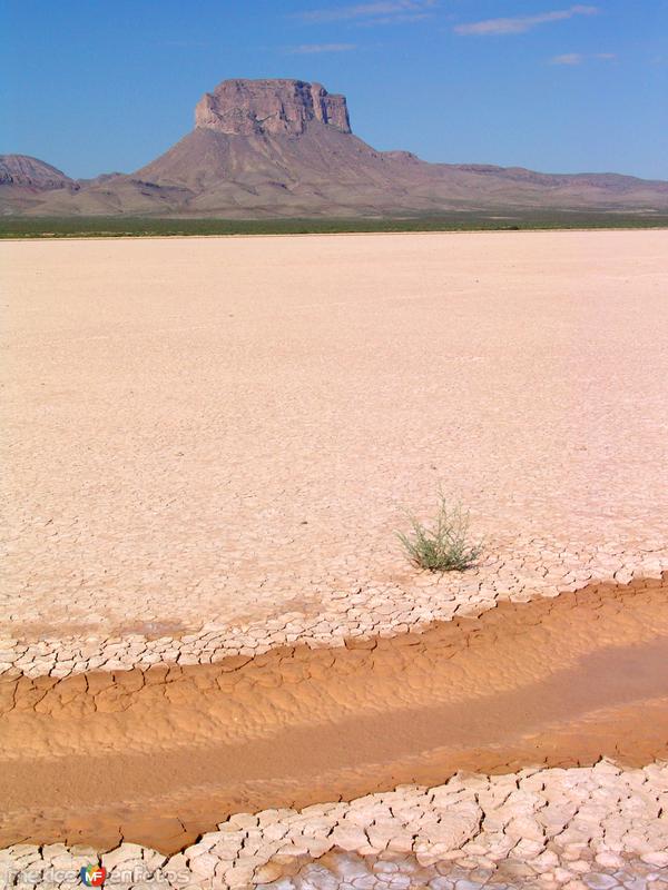 Fotos de Ahumada, Chihuahua: Laguna intermitente El Barreal