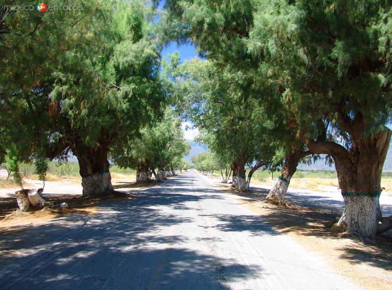 Fotos de Lamadrid, Coahuila: Entrada a Lamadrid