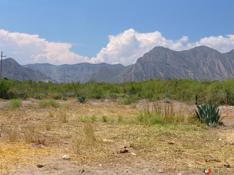 Fotos de Lamadrid, Coahuila: Paisaje típico