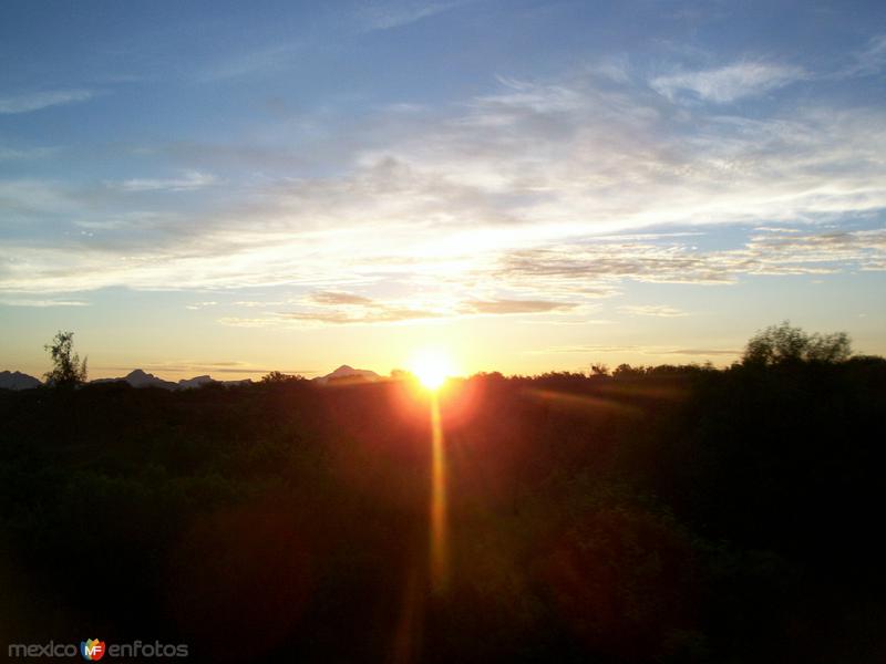 Fotos de Los Mochis, Sinaloa: Amanecer cerca de Los Mochis