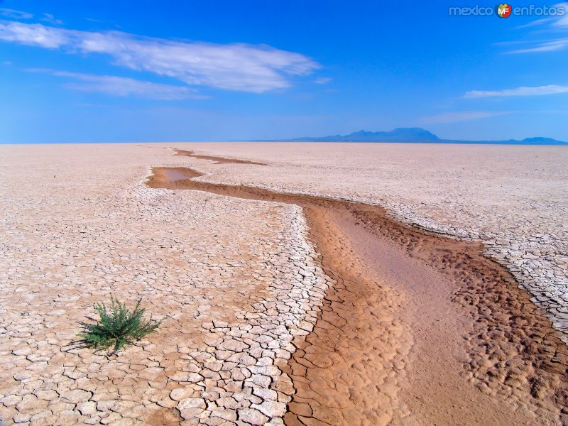 Fotos de Ahumada, Chihuahua: Laguna intermitente El Barreal