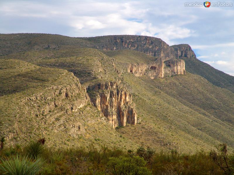 Fotos de Ocampo, Coahuila: Montaña