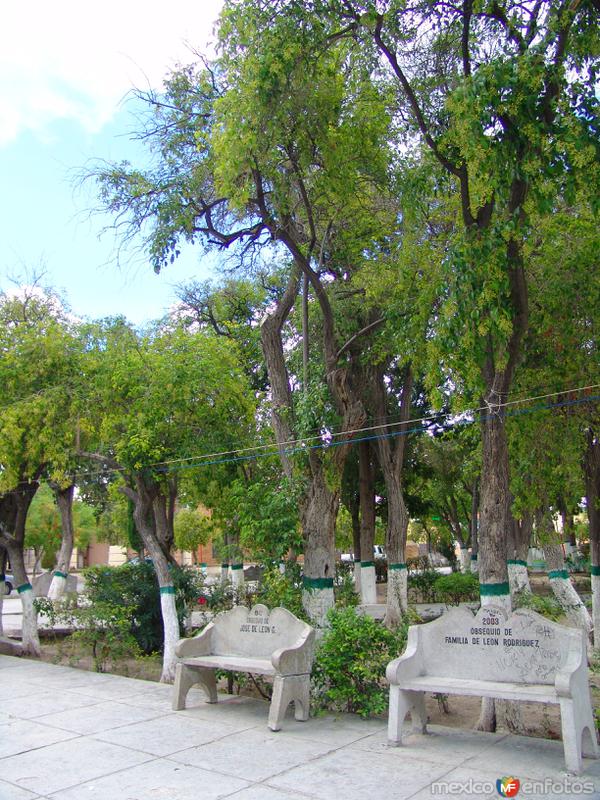 Fotos de Ocampo, Coahuila: Plaza Principal