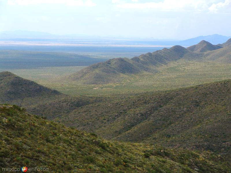 Fotos de Ocampo, Coahuila: Sierra La Madera