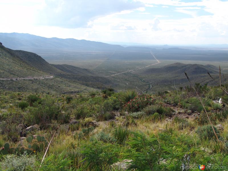 Fotos de Ocampo, Coahuila: Sierra La Madera