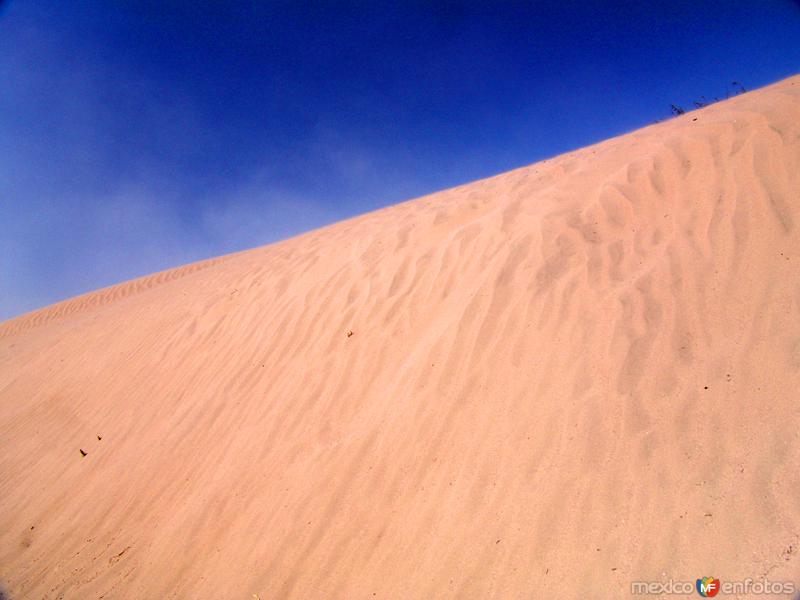 Fotos de Viesca, Coahuila: Dunas de Bilbao