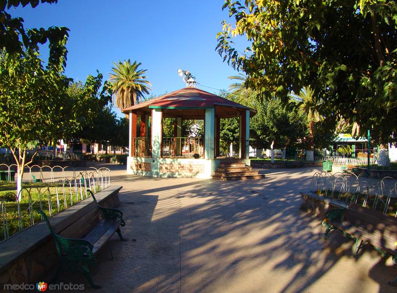 Fotos de Meoqui, Chihuahua: Plaza Principal (Plaza de la Constitución)