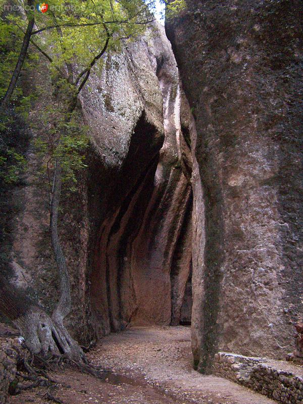 Fotos de San Francisco De Borja, Chihuahua: Iglesia Natural