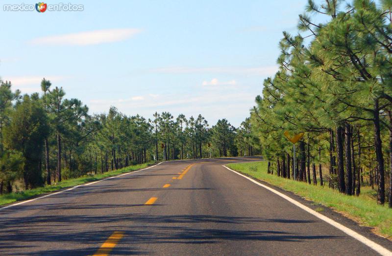 Fotos de Santa Isabel, Chihuahua: Carretera