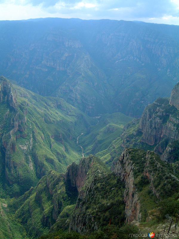 Fotos de Guachochi, Chihuahua: Barranca de Sinforosa