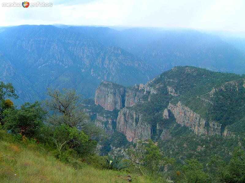 Fotos de Guachochi, Chihuahua: Barranca de Sinforosa