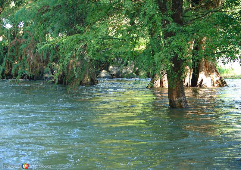 Fotos de Nuevo Morelos, Tamaulipas: El Ojo de Agua