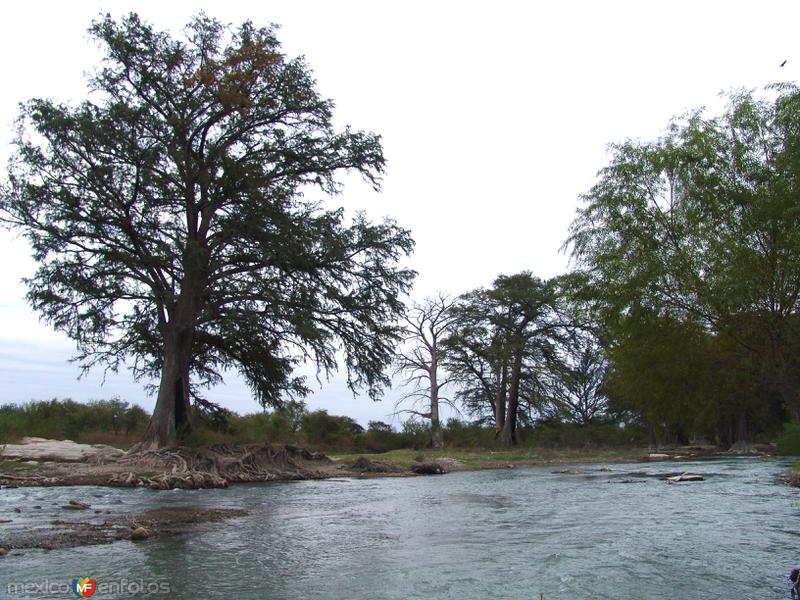 Fotos de Sabinas, Coahuila: Río Sabinas