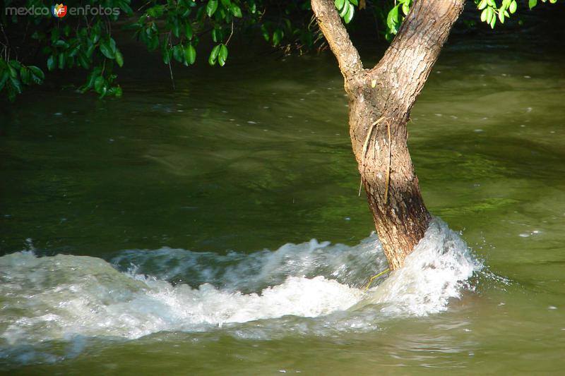 Fotos de Nuevo Morelos, Tamaulipas: El Ojo de Agua