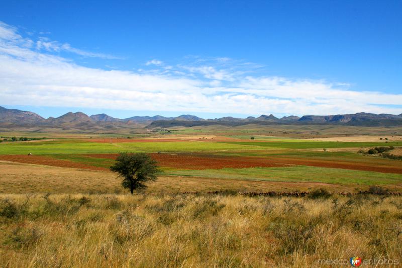 Fotos de Cuauhtémoc, Chihuahua: Paisajes