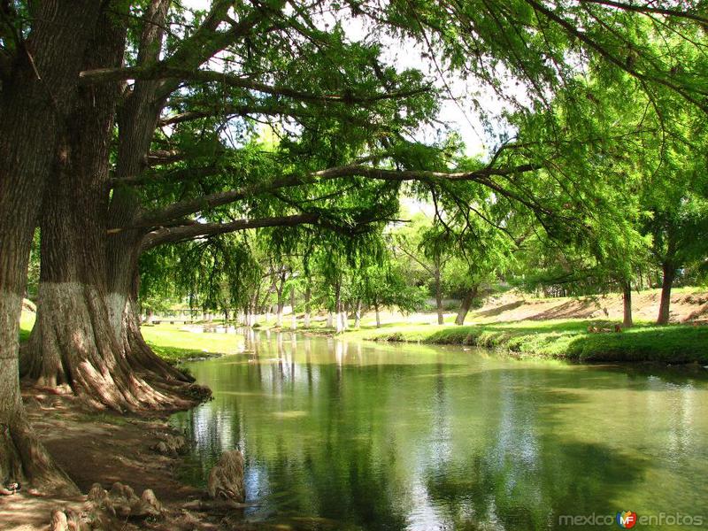 Fotos de Hualahuises, Nuevo León: RIO HUALAHUISES