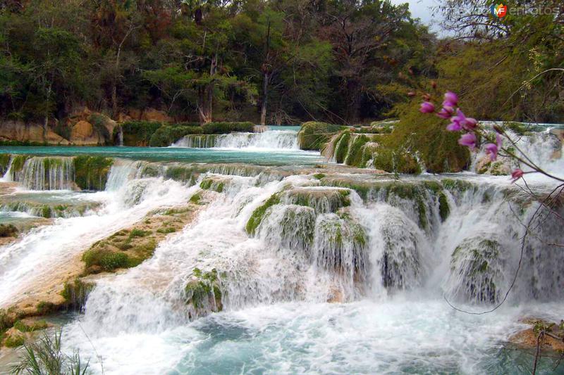 Fotos de El Naranjo, San Luis Potosí: Cascada del Meco