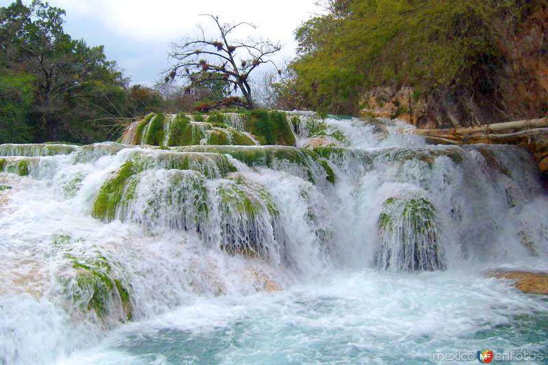 Fotos de El Naranjo, San Luis Potosí: Cascada del Meco