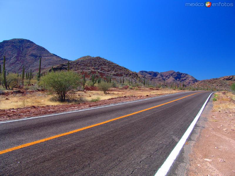 Fotos de Bahía Concepción, Baja California Sur: Carretera Transpeninsular