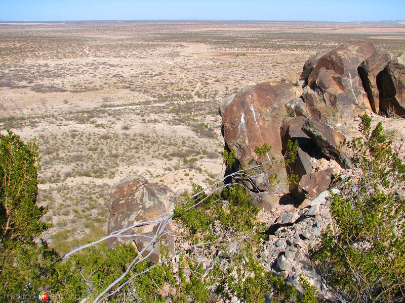 Fotos de Samalayuca, Chihuahua: Desierto