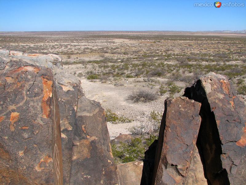 Fotos de Samalayuca, Chihuahua: Desierto