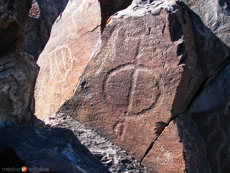 Fotos de Samalayuca, Chihuahua: Petrograbados