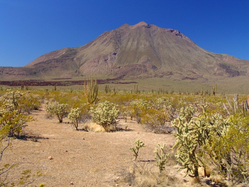 Fotos de Volcán Las Tres Vírgenes, Baja California Sur: Volcán Las Tres Vírgenes