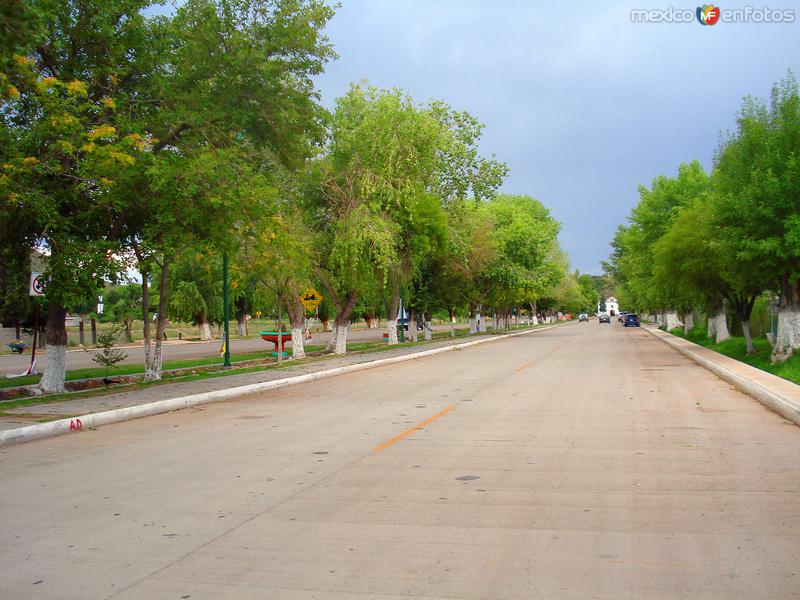 Fotos de Aldama, Chihuahua: Calles de Aldama